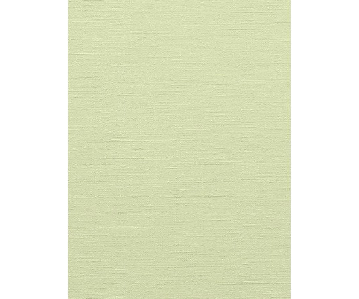 Light Green Colourline 43733 Wallpaper