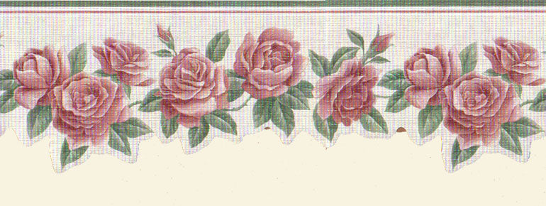 wallpaper borders flowers and ivy