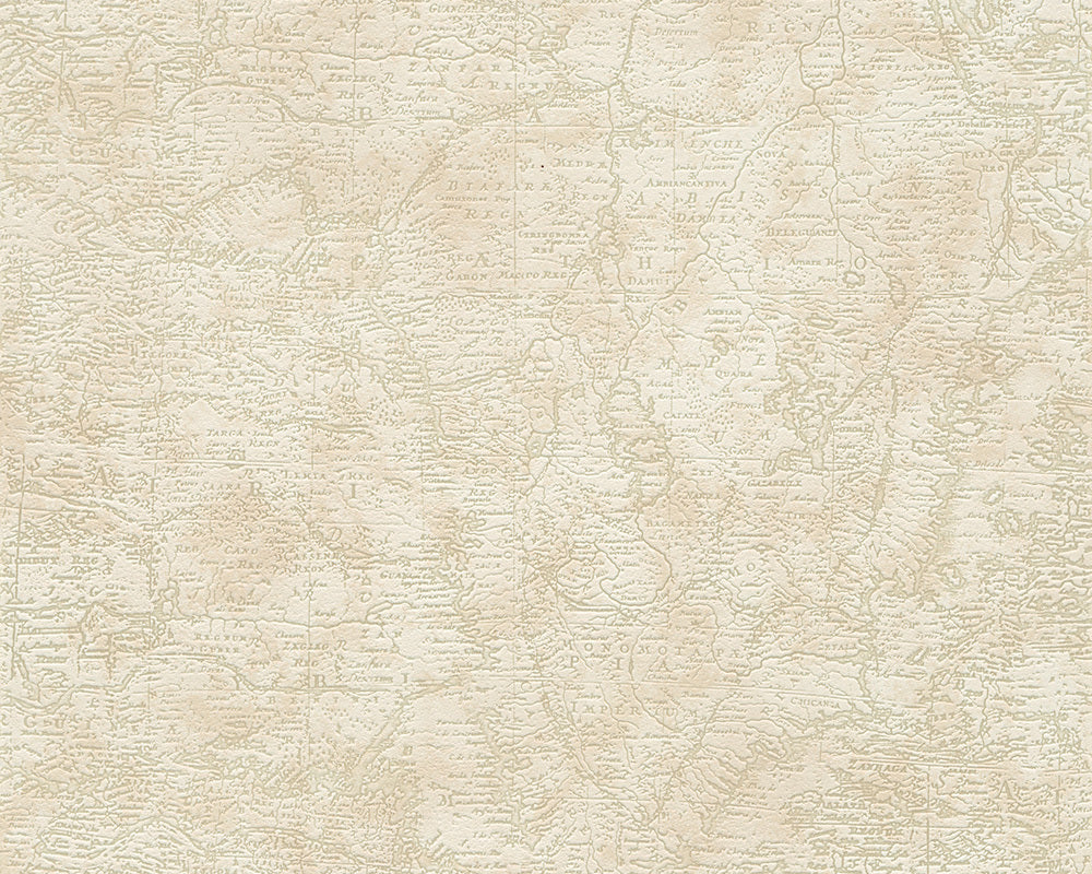 Beige Brown Dekora Natur 6 958962 Wallpaper