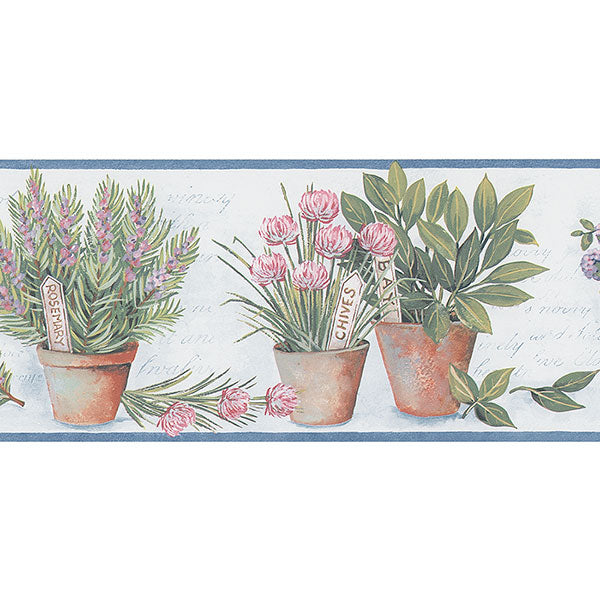 Blue Pink Potted Herbs KV79531 Wallpaper Border