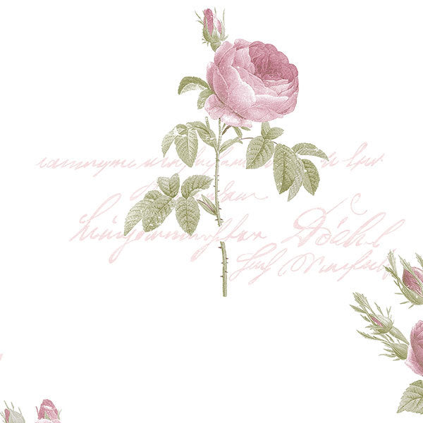 Light Pink Rose Toile CG28820 Wallpaper