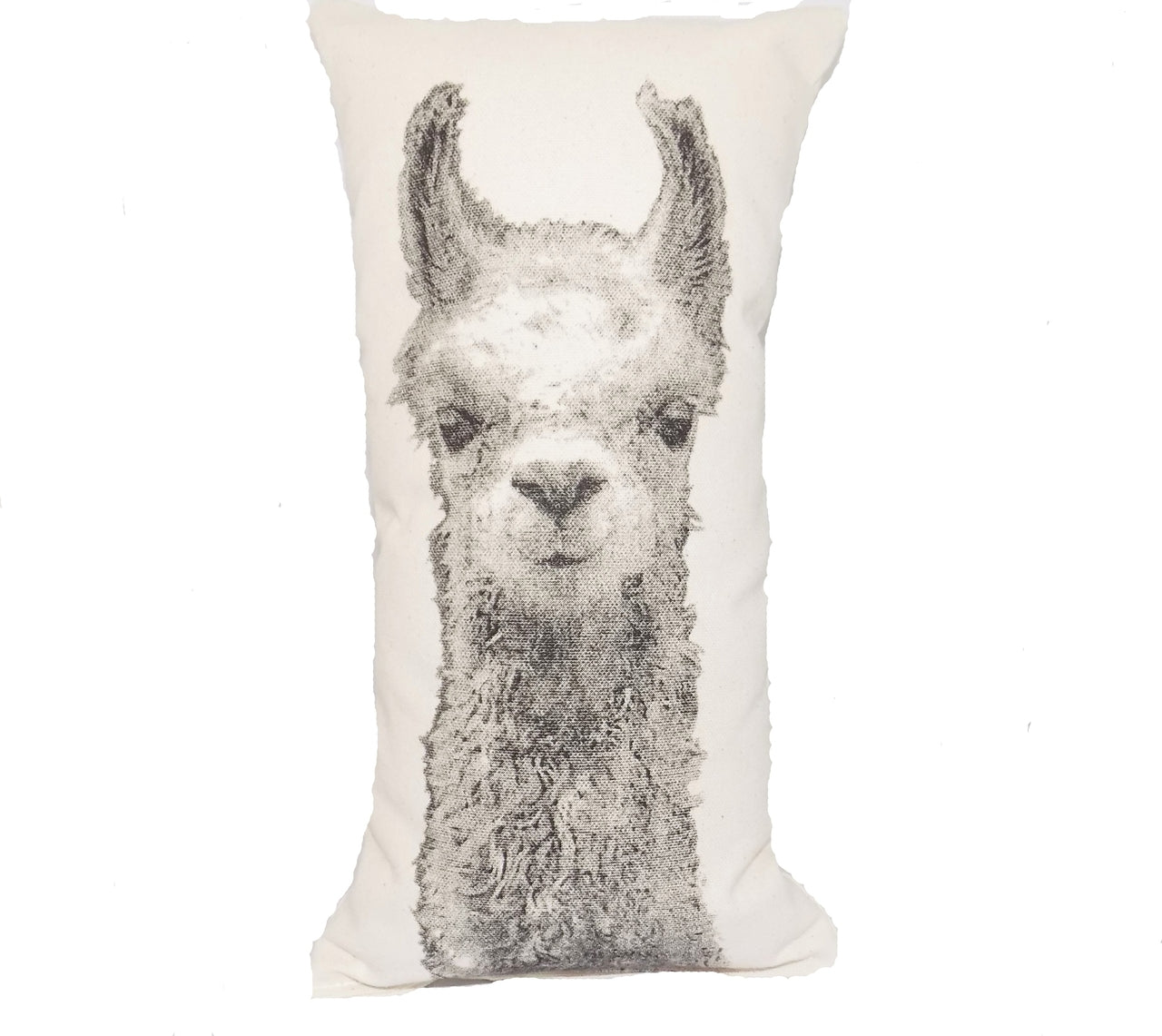 Llama Llama 18x18 Inch Pillow *P
