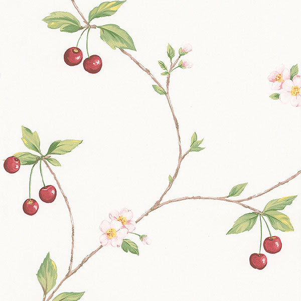 Red Green Cherries Trail FK26957 Wallpaper