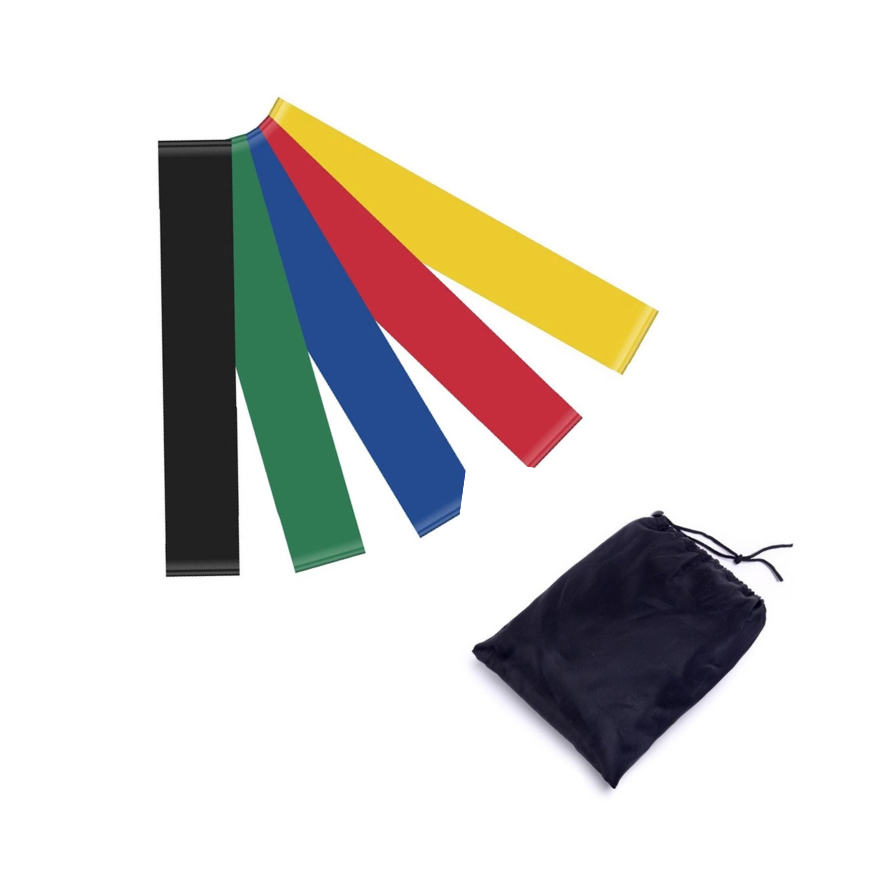 Fitness Workout Resistance Bands Set - Gifted Parrot