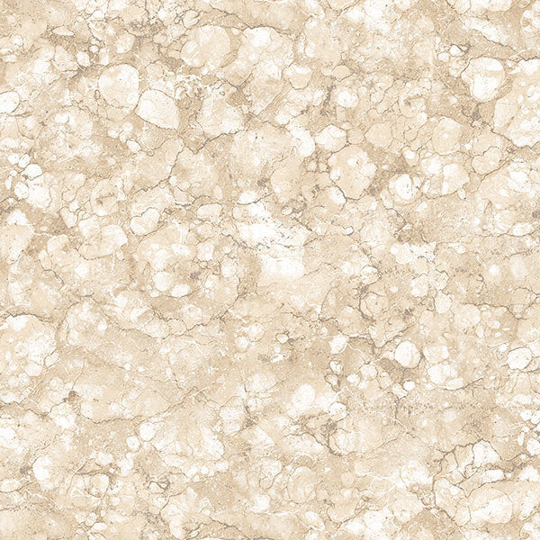 Cream Christel TX34815 Wallpaper