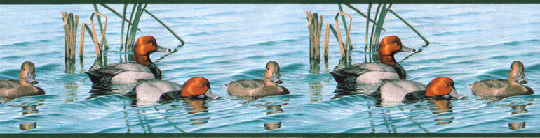 Ducks  DU2291B Wallpaper Border